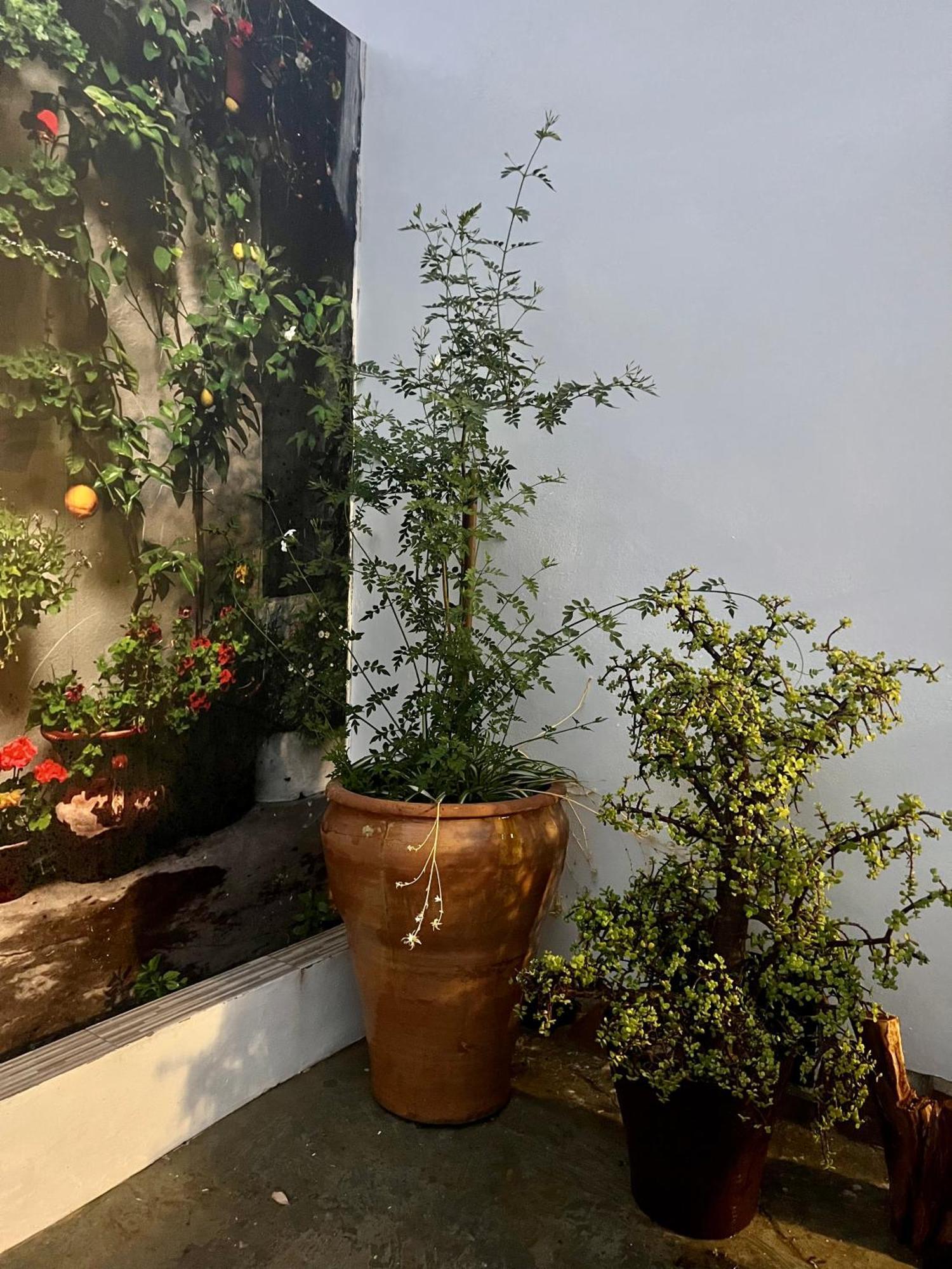 Casa Rural Las Casillas Málaga Eksteriør billede